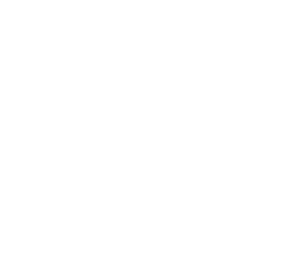 Venz Capital