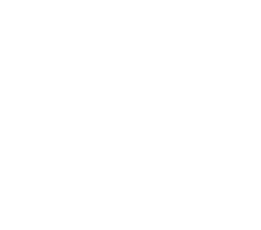 Venz Capital